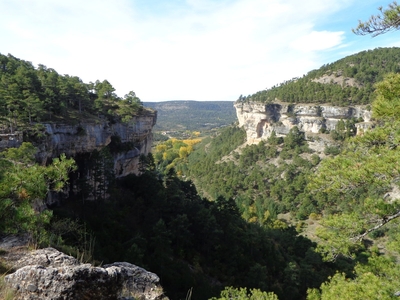 foto tragacete_1_02.jpg