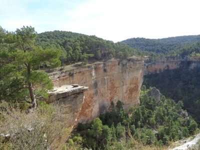 foto tragacete_1_03.jpg