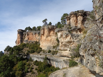 foto tragacete_1_04.jpg