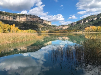 foto tragacete_1_07.jpg