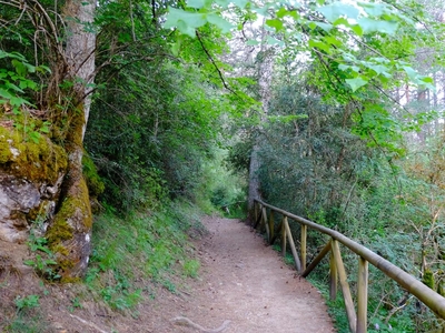 foto tragacete_2_02.jpg