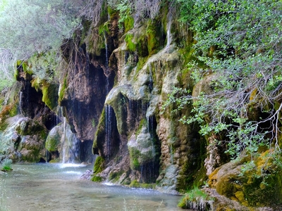 foto tragacete_2_04.jpg